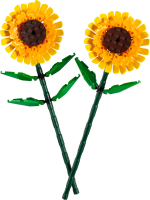 Sonnenblumen