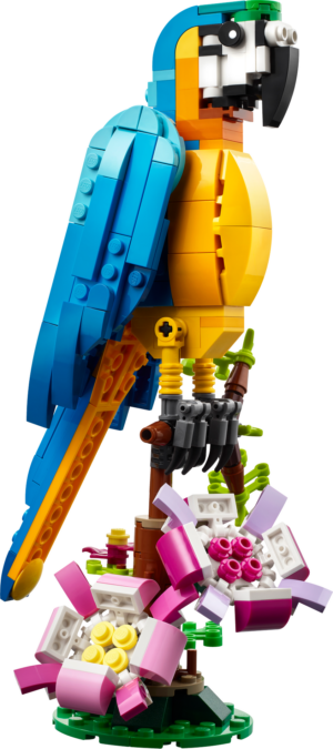 31136_Prod (1).png